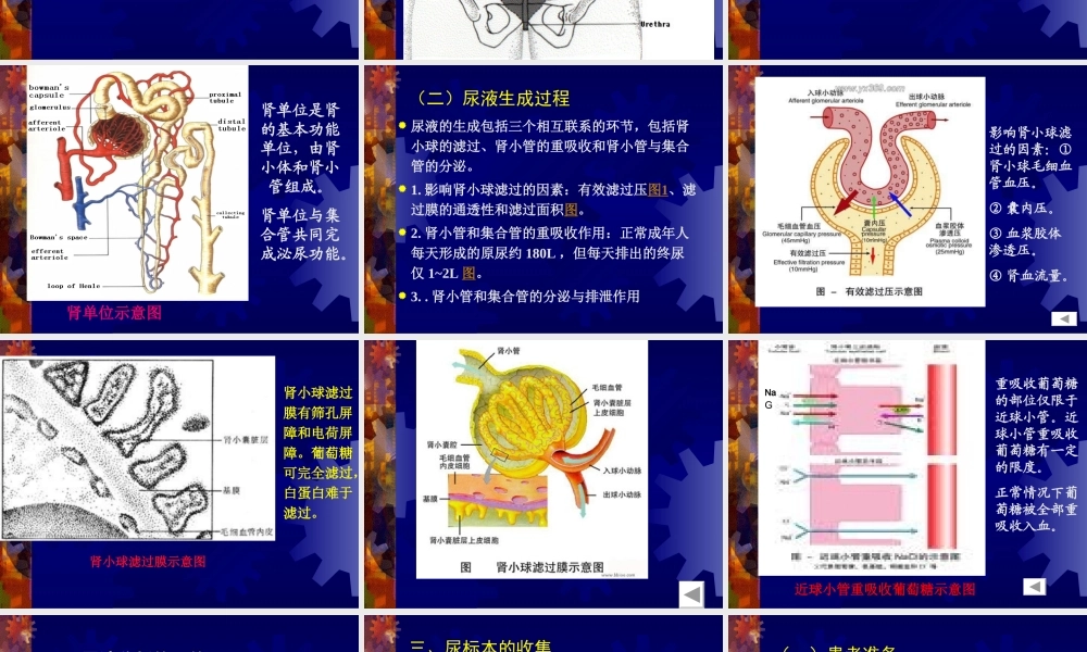尿液乳白色混浊.ppt