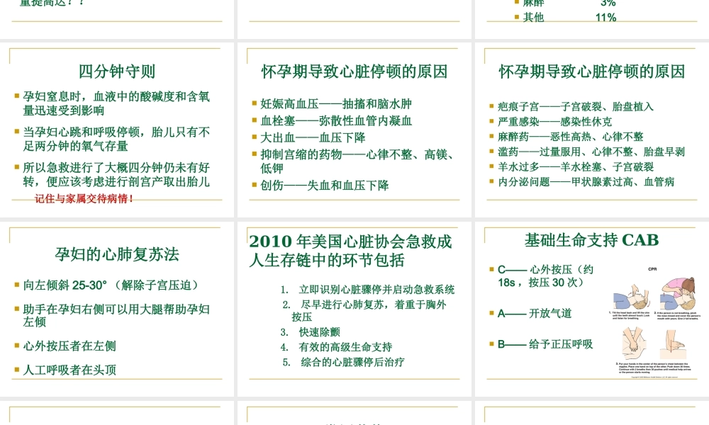 孕妇心肺复苏2010年.ppt