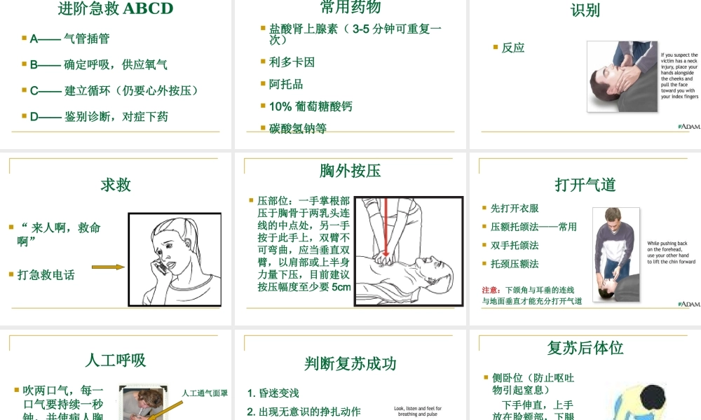 孕妇心肺复苏2010年.ppt