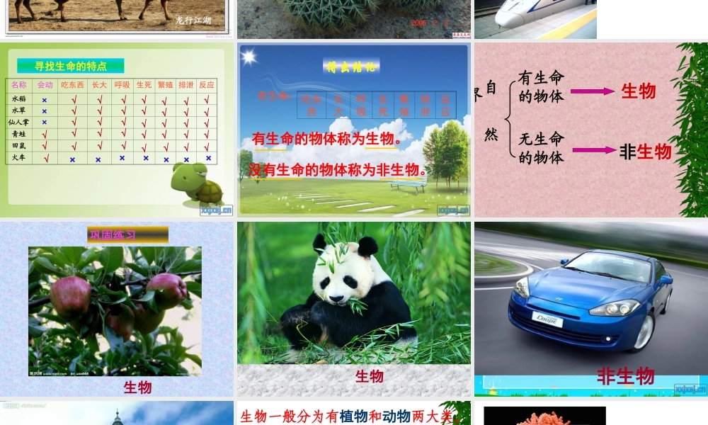 寻找有生命的物体.ppt