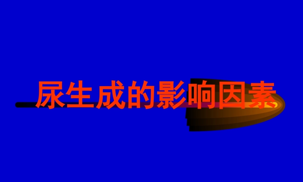 尿液生成的影响因素).pptx
