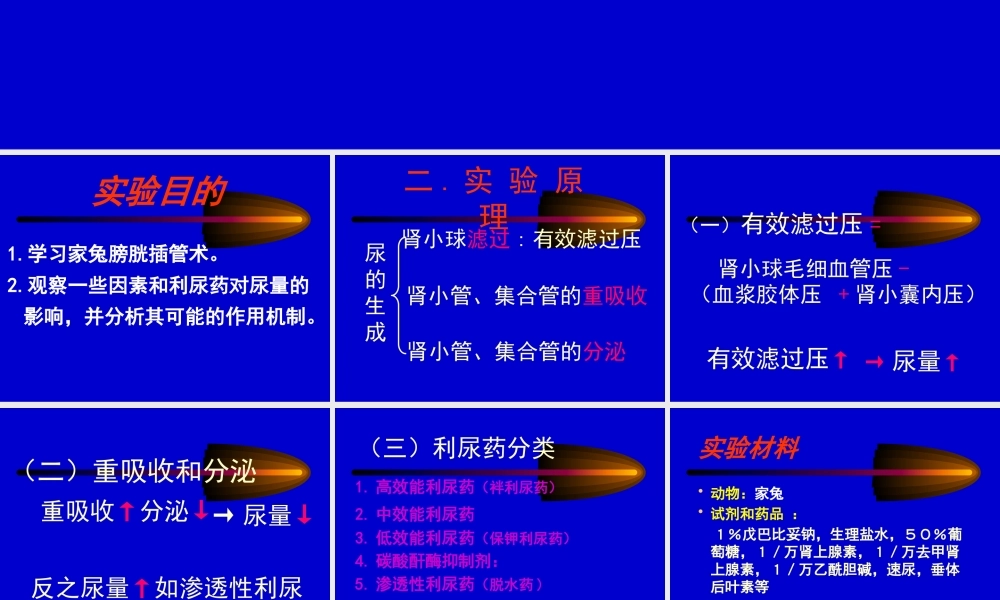 尿液生成的影响因素).pptx