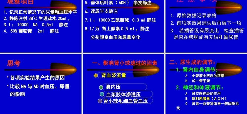 尿液生成的影响因素).pptx