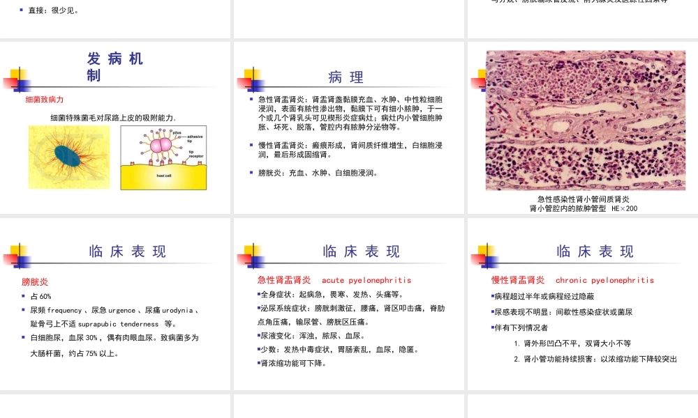 尿路感染-浙江大学.ppt