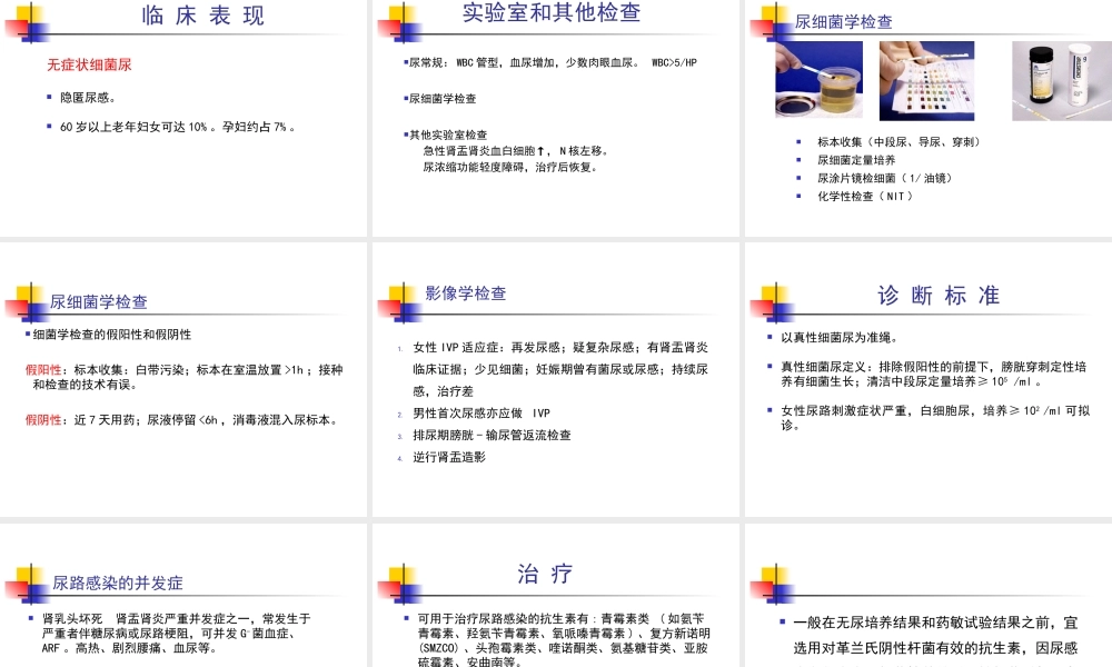 尿路感染-浙江大学.ppt