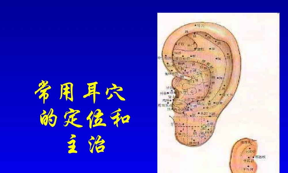 常用耳穴的定位和主治分解.ppt