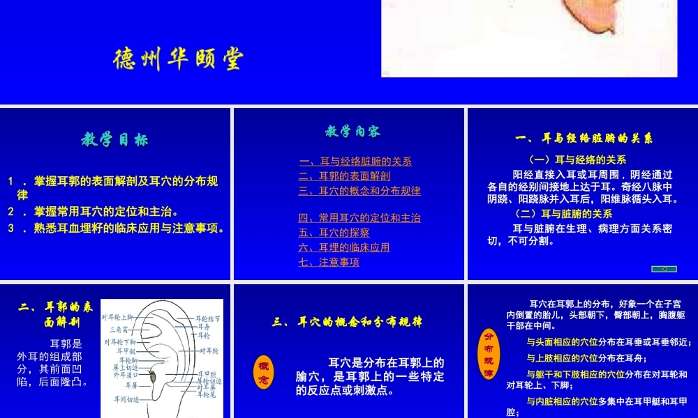 常用耳穴的定位和主治分解.ppt