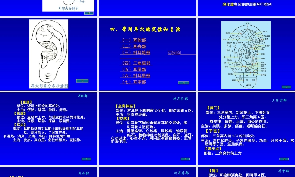 常用耳穴的定位和主治分解.ppt