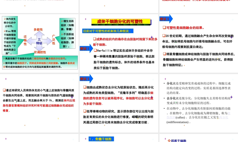干细胞-成体干细胞.ppt