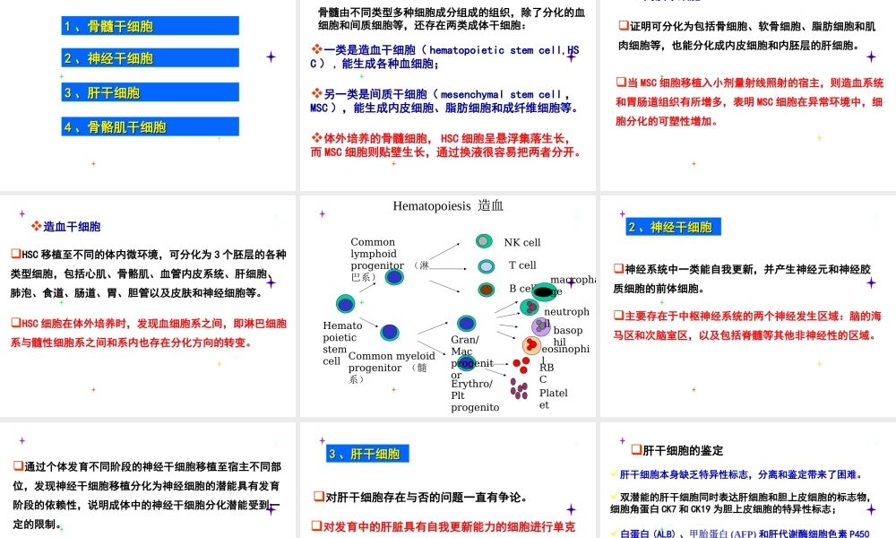 干细胞-成体干细胞.ppt