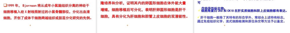 干细胞-成体干细胞.ppt