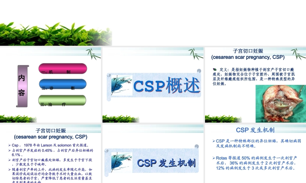 子宫切口妊娠.ppt