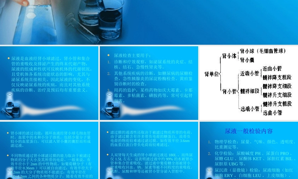 尿常规检查与核保.ppt