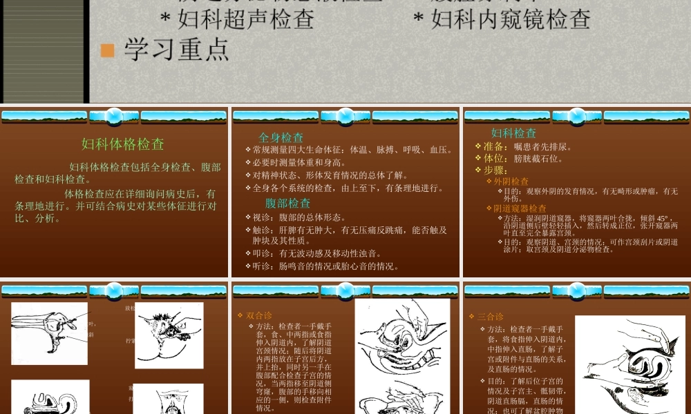 妇科体格检查讲诉.ppt
