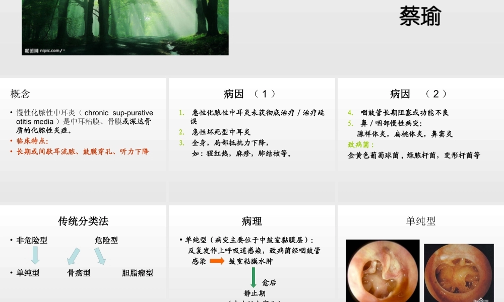 慢性中耳炎.ppt
