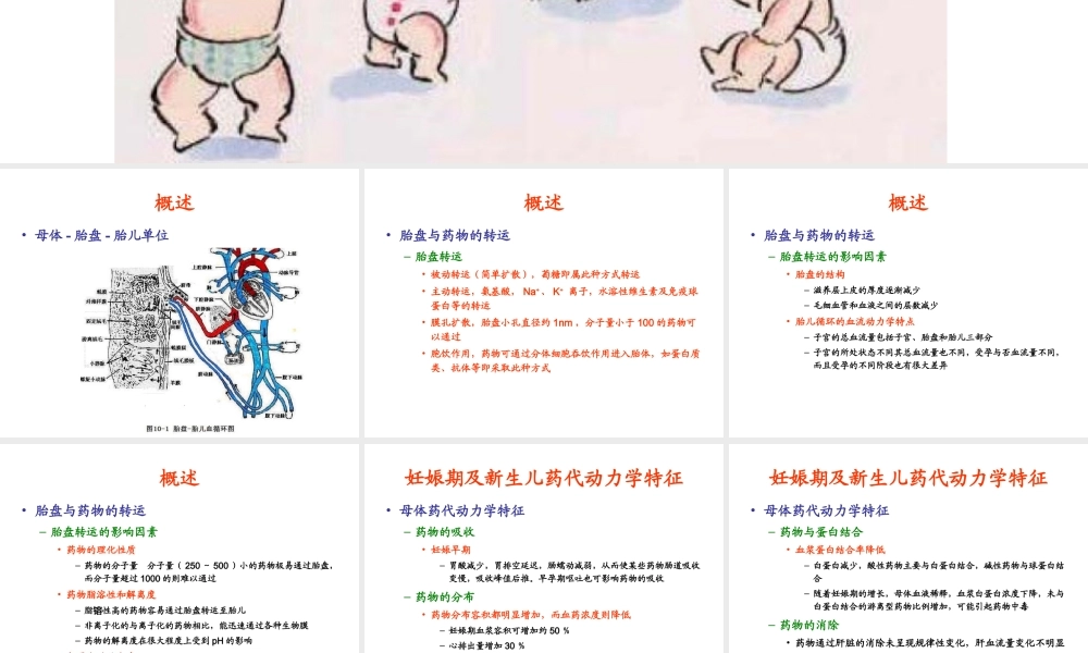 妊娠期及新生儿合理用药原则.ppt