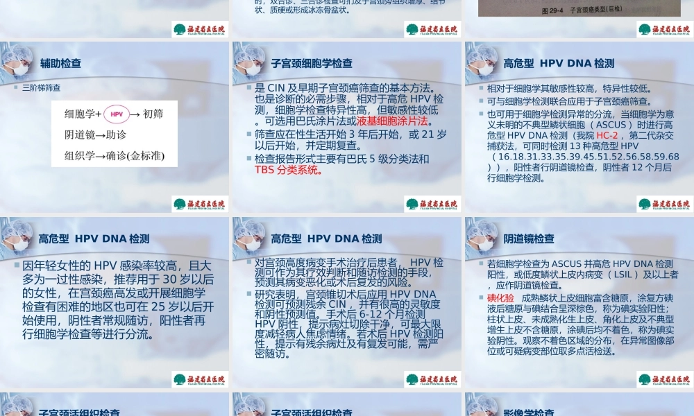宫颈癌前病变及宫颈癌的诊治详解.ppt