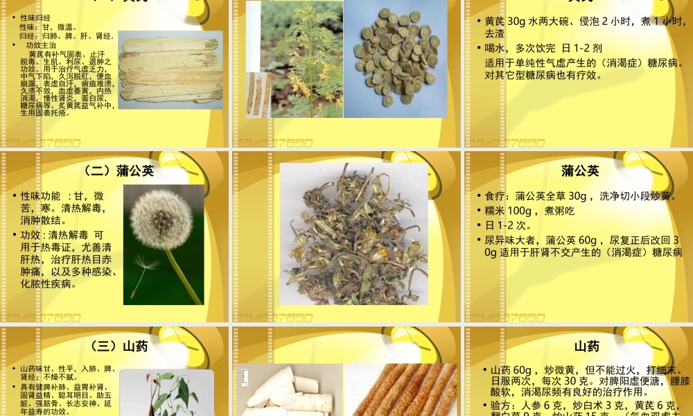 张熙耕第六讲药食同源.ppt