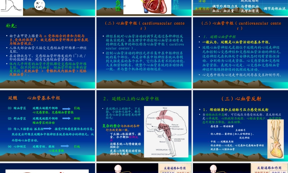 循环生理-心血管活动的调节.ppt