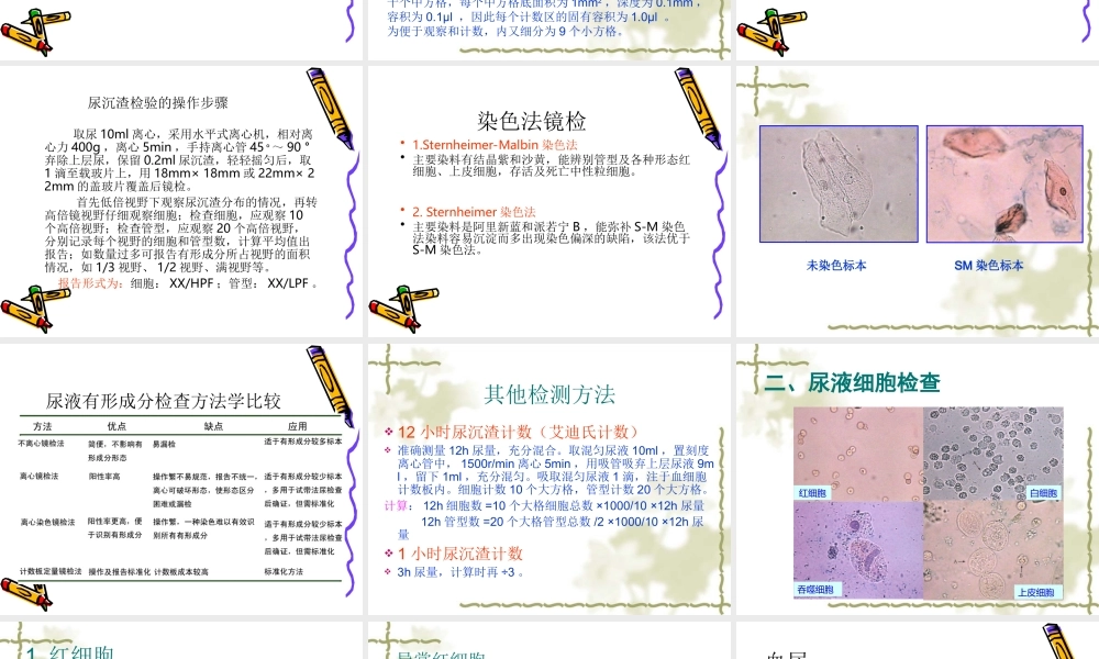 尿液有形成分检查.ppt