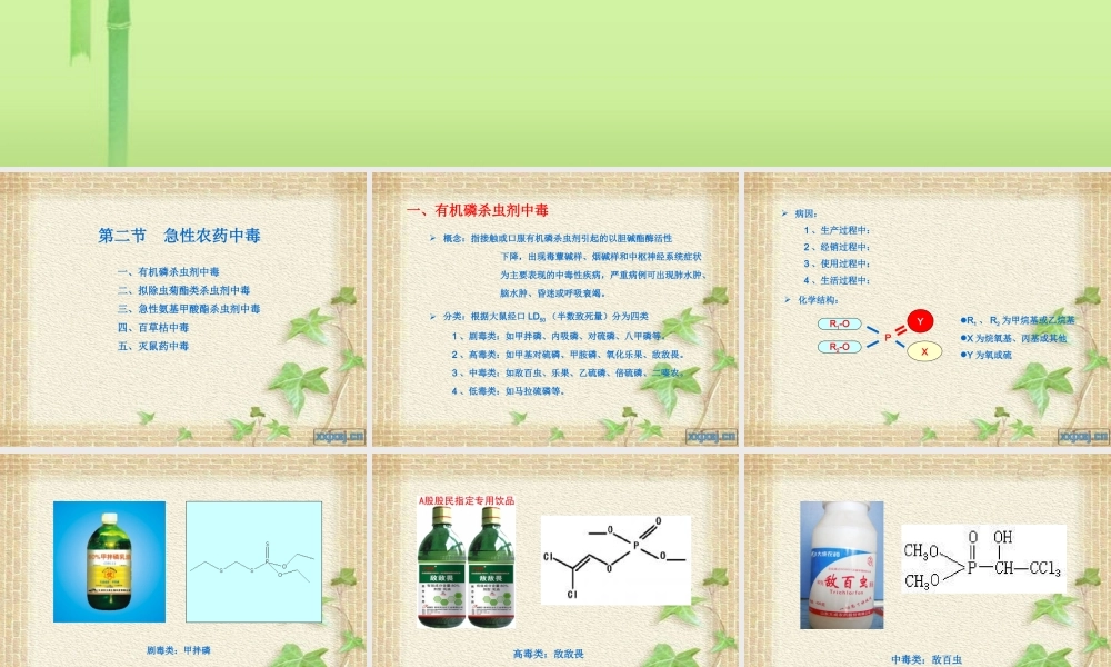 急性农药中毒..ppt