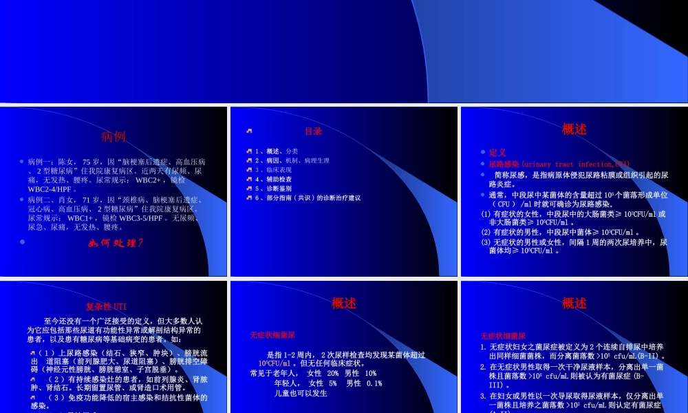 尿路感染(丁).ppt