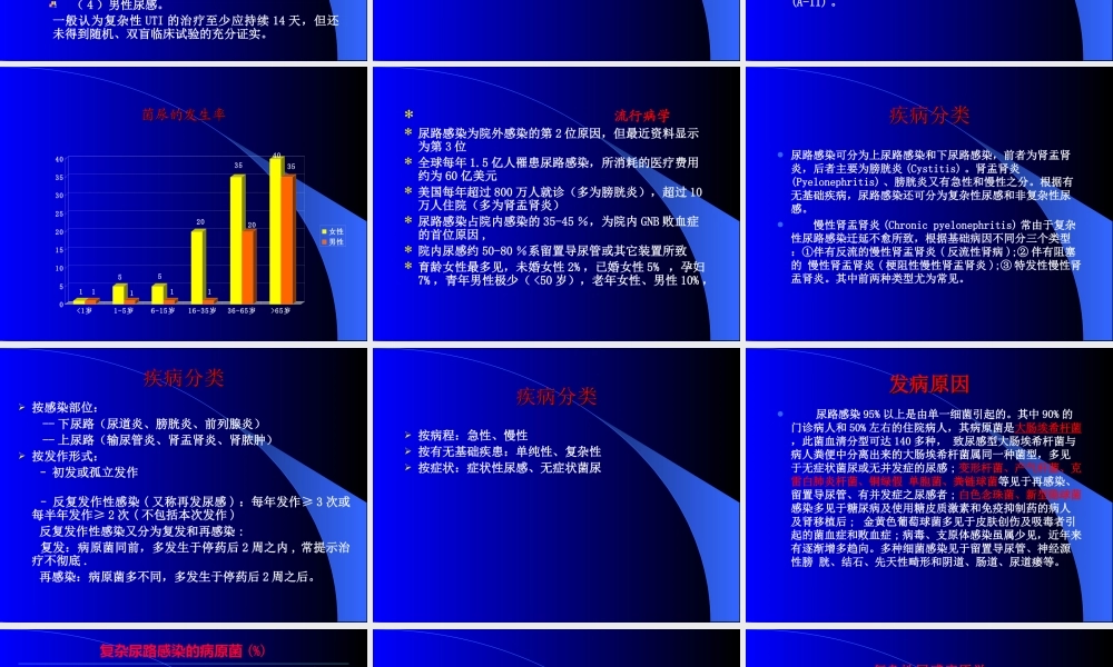 尿路感染(丁).ppt