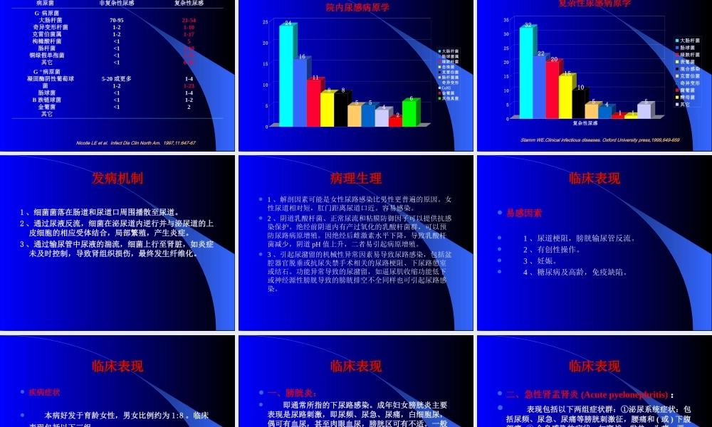 尿路感染(丁).ppt