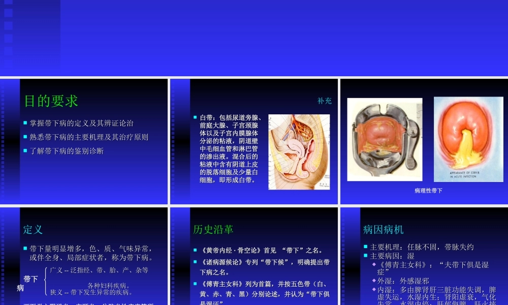 带下病2009简介.ppt