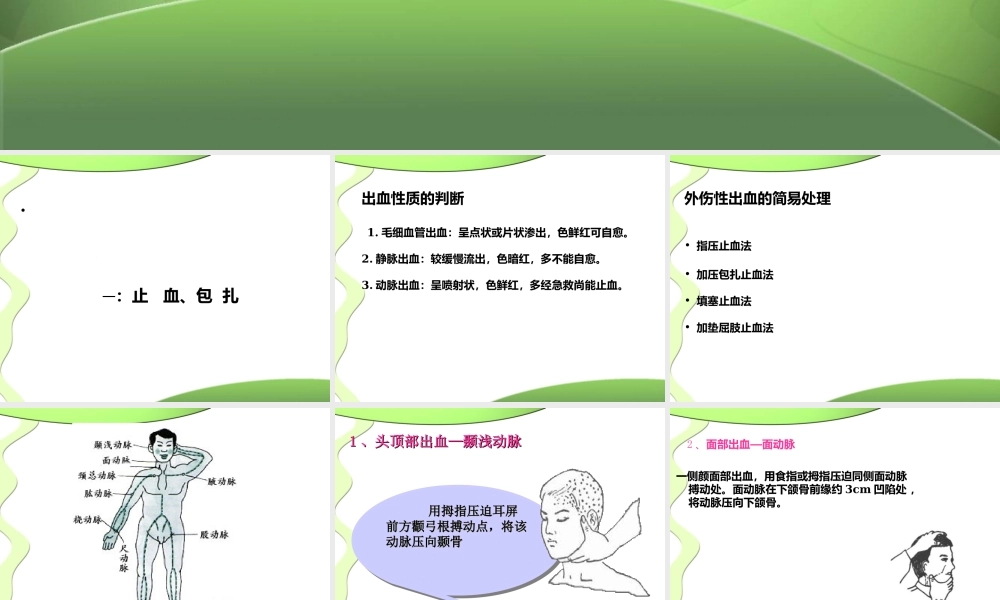 急救与防护秦志均.ppt