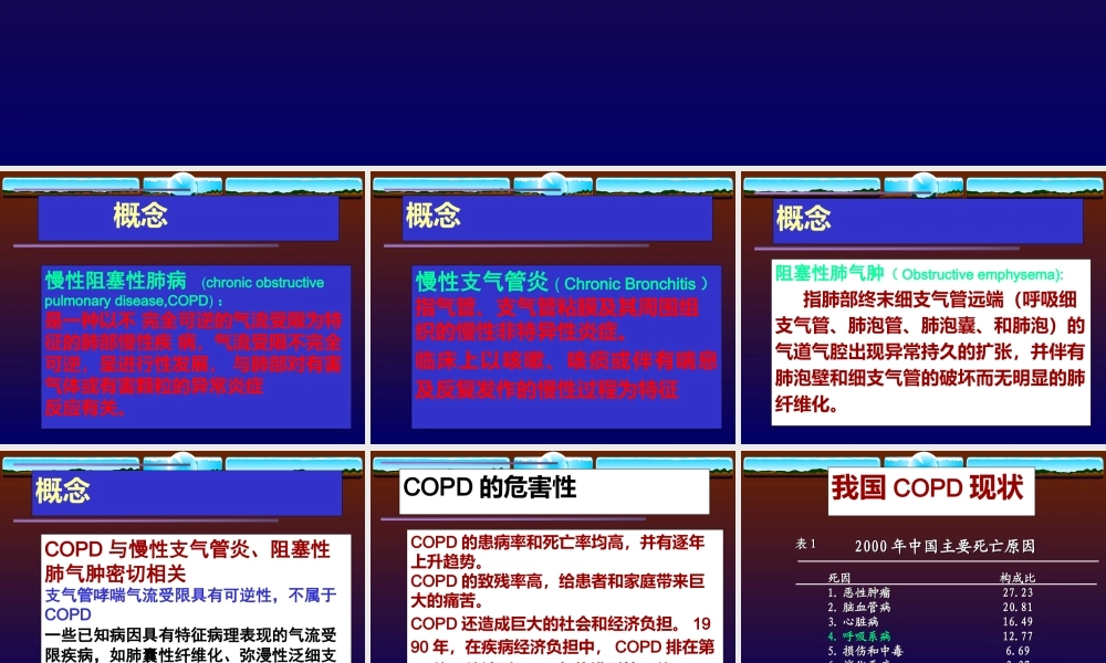 慢性阻塞性肺病12.ppt