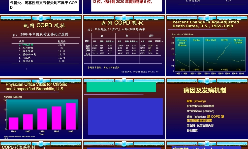 慢性阻塞性肺病12.ppt