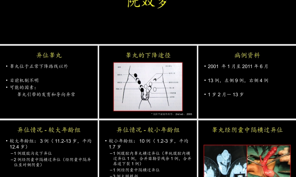 异位睾丸诊治-2011西安系列.ppt