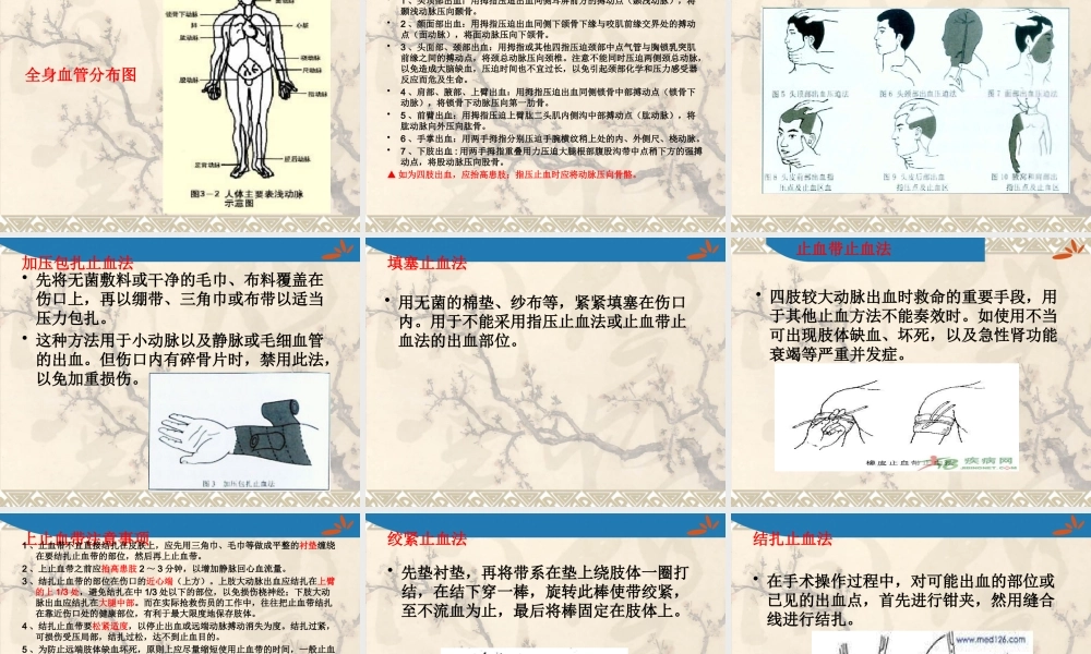 急救与搬运.pptx