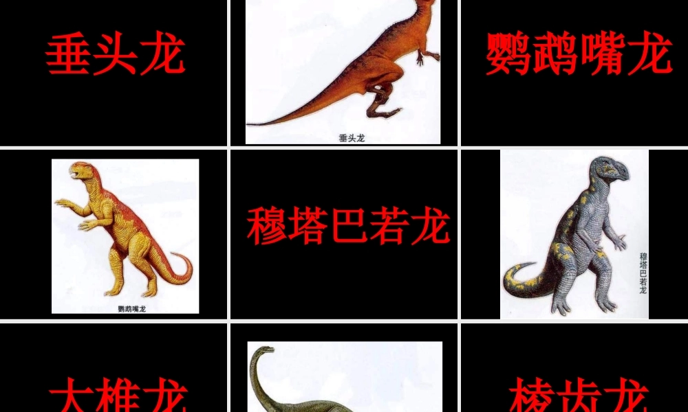 恐龙卡片适合男宝宝.ppt