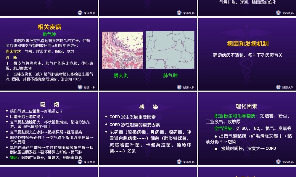 慢性阻塞性肺病.ppt