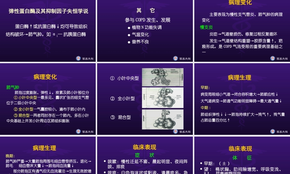 慢性阻塞性肺病.ppt