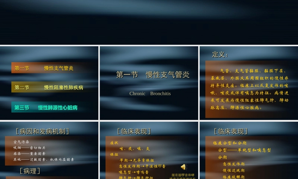 慢阻肺和肺心病.ppt