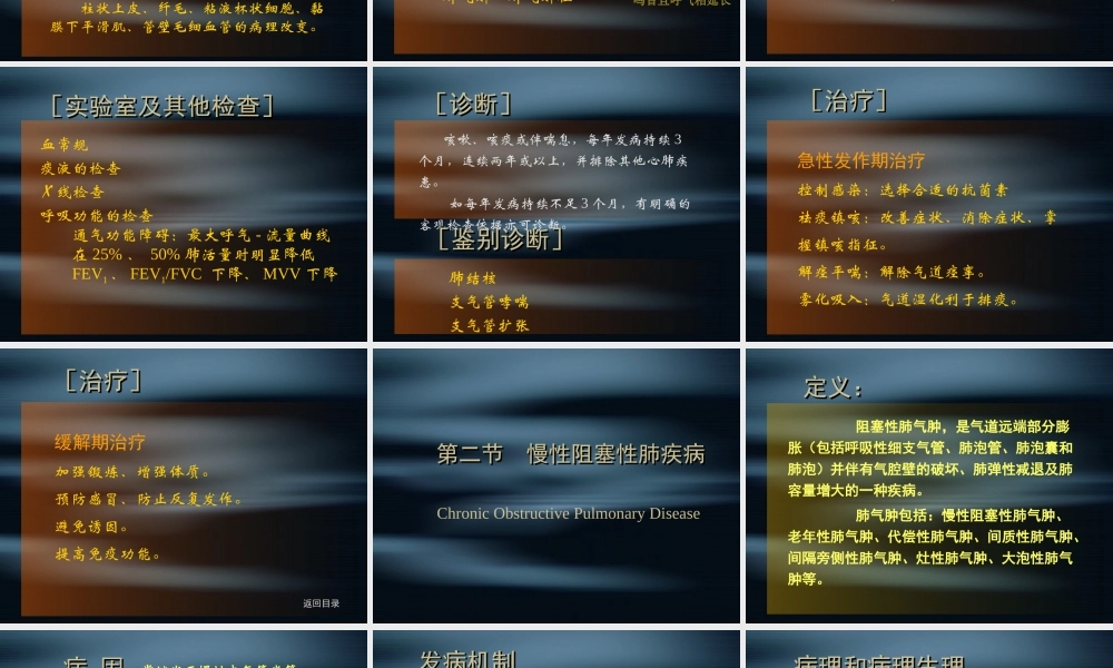 慢阻肺和肺心病.ppt