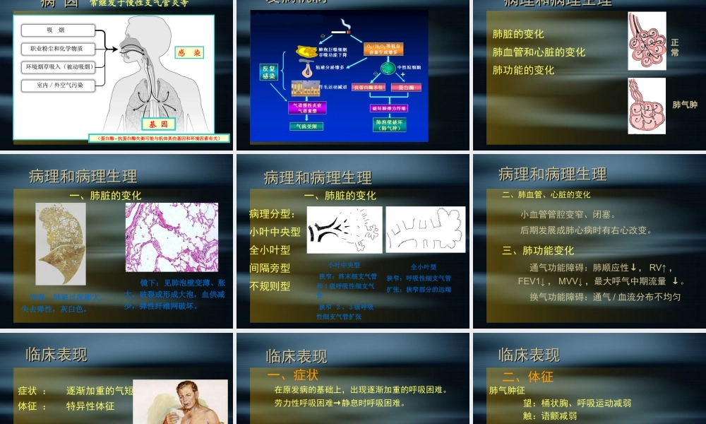 慢阻肺和肺心病.ppt