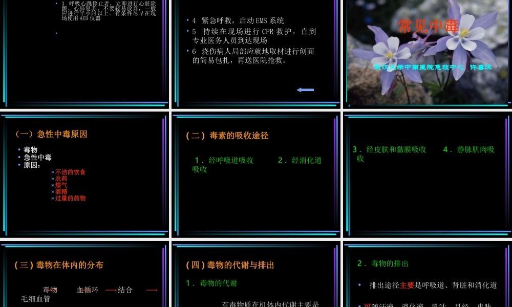 意外伤害讲座(一).ppt