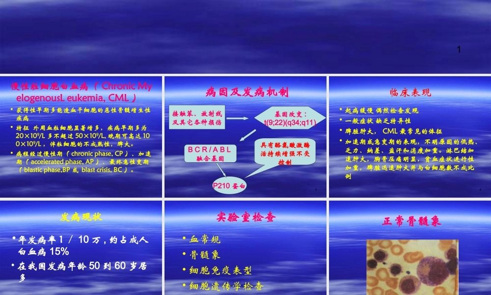 慢性粒细胞白血病及.ppt