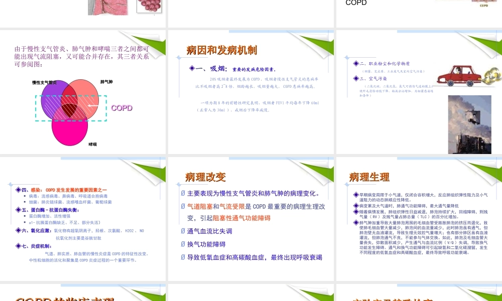慢性阻塞性肺气肿详解.ppt
