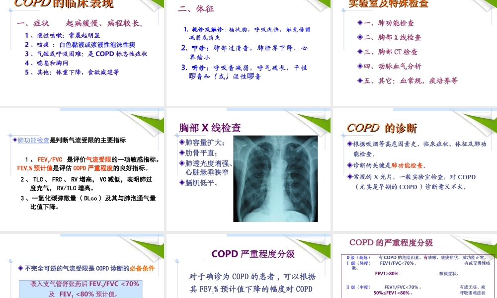 慢性阻塞性肺气肿详解.ppt