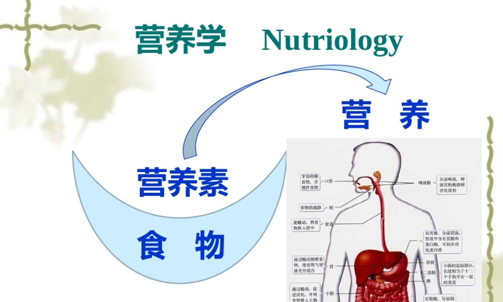 妇幼营养学朱文丽1营养学基础.pptx