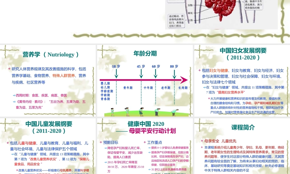 妇幼营养学朱文丽1营养学基础.pptx