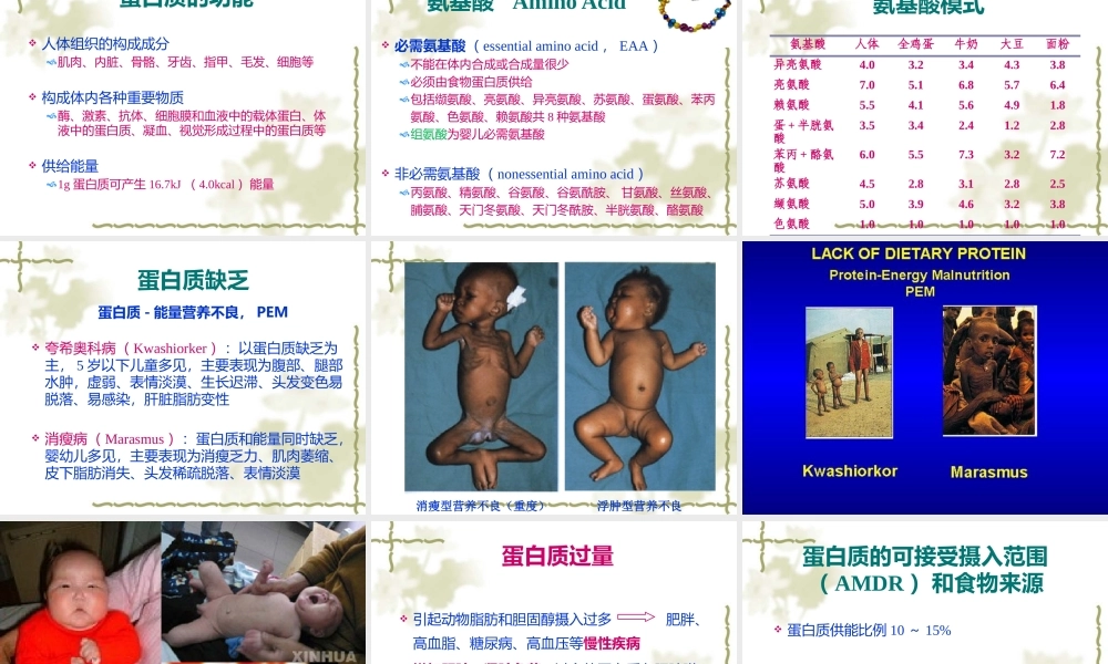 妇幼营养学朱文丽1营养学基础.pptx