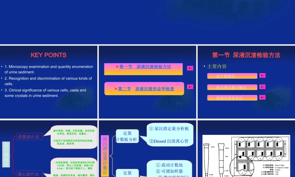 尿液显微镜检学检验.ppt