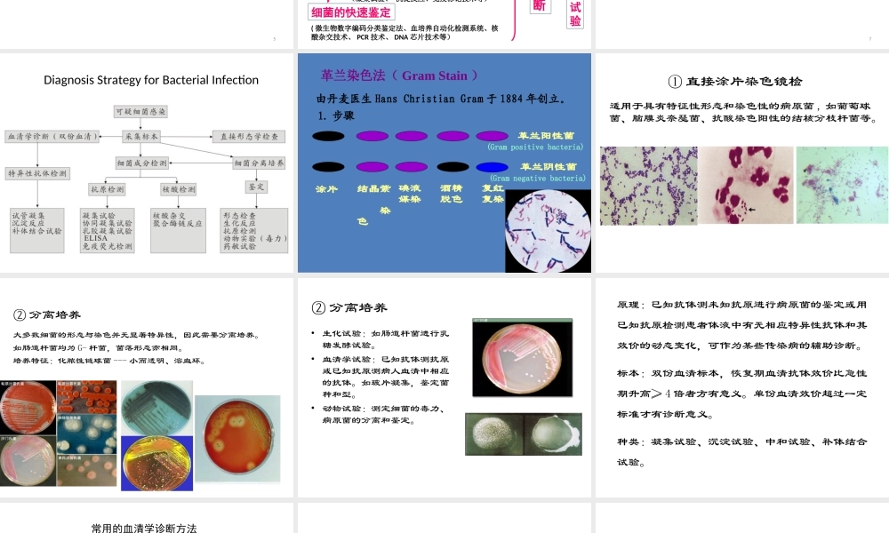 常用病原学检测.ppt