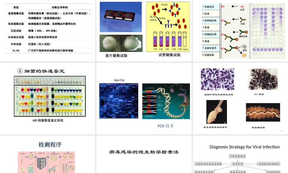 常用病原学检测.ppt